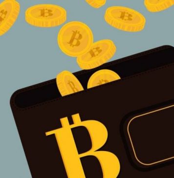 Bitcoin Wallet: Meilleur Portemonnaie Bitcoin En 2020 Comment stocker Bitcoins